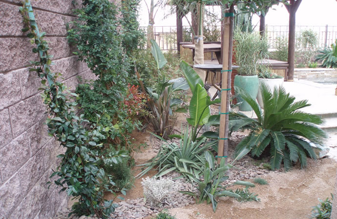 custom pools and spas by greencare.net